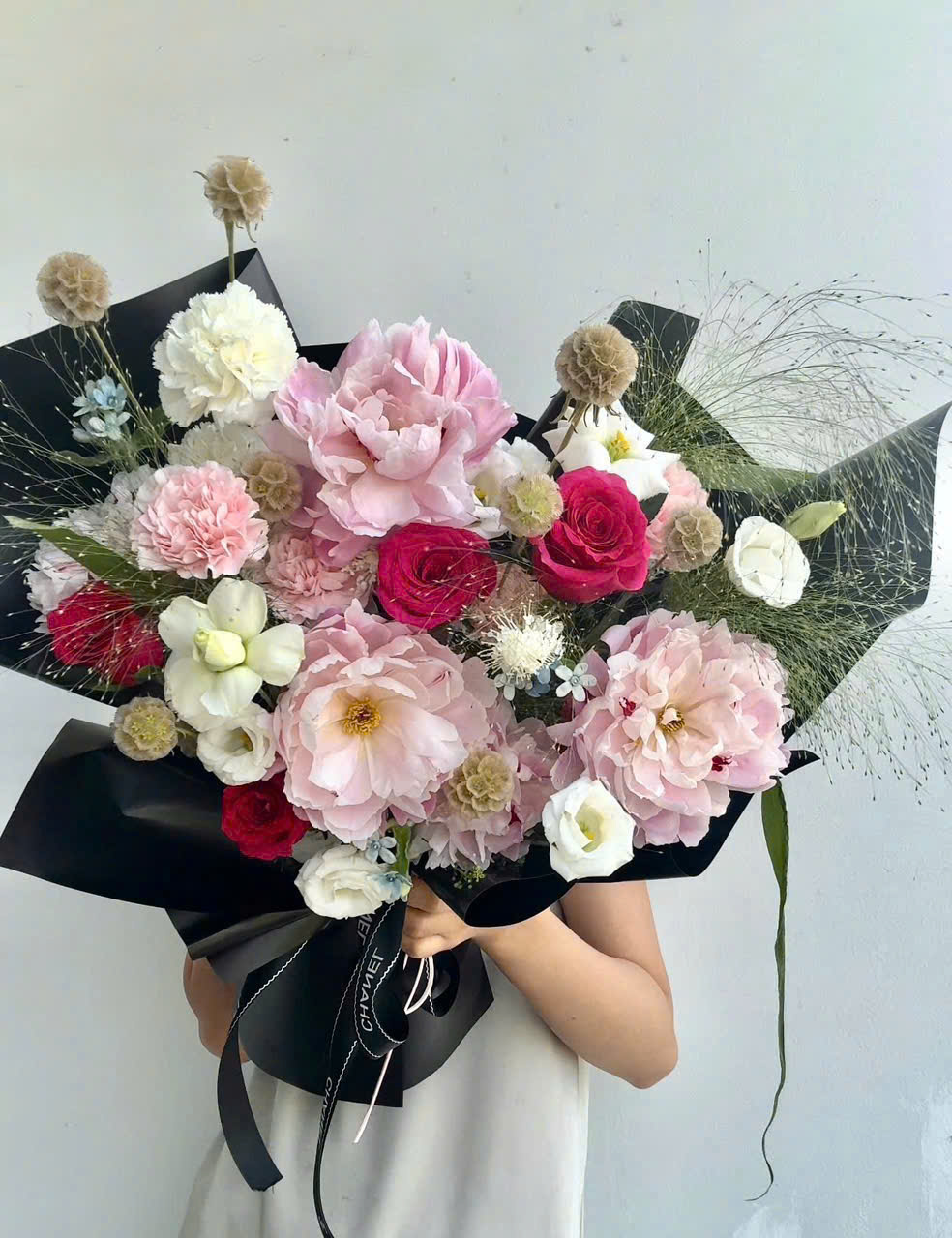 Mẫu đơn x Pinkloy