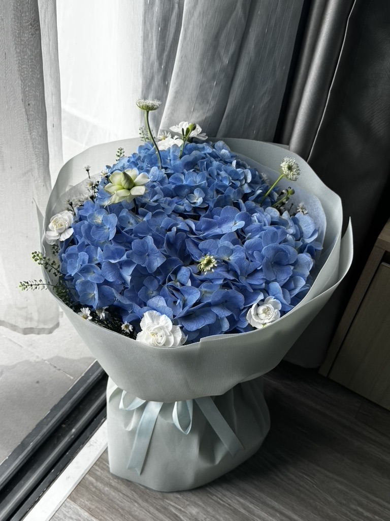 Blue Hydrangae