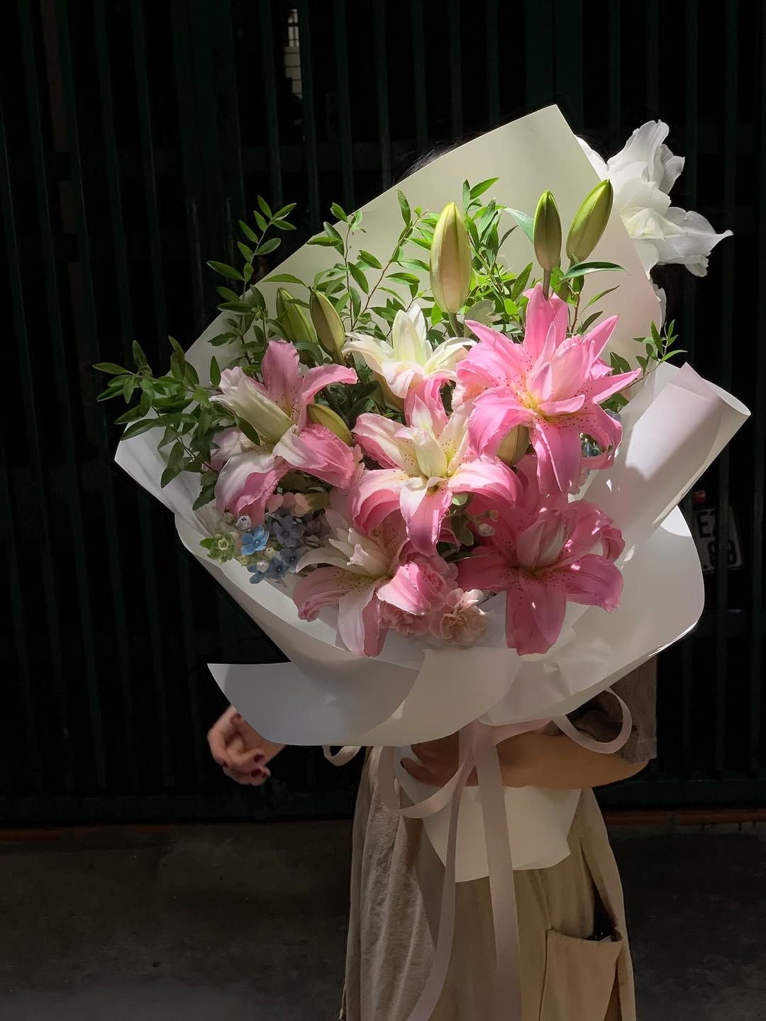 Lily to Lyly